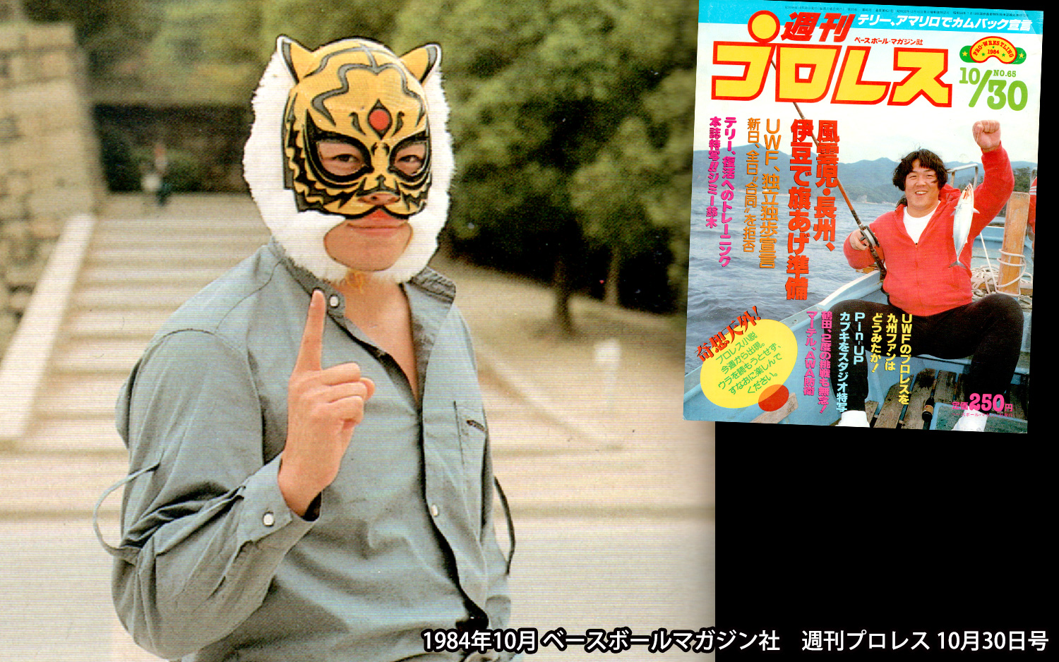 12540円 定番の人気シリーズPOINT(ポイント)入荷 2代目タイガーマスク プロレスマスク